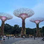 Singapore – day 1 – The Gardens by the Bay